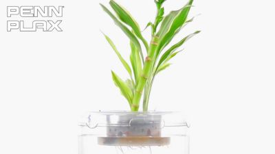 Image showing  1.4 gal. Aquaponic Fish Tank Aquarium, Large