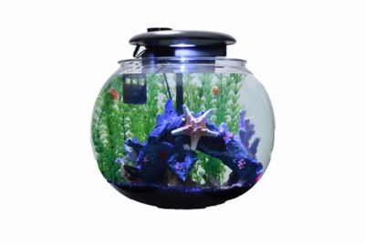 Penn-Plax Aqua-Sphere 360 High-Strength Acrylic Aquaponic Fish Tank, 10 gal.