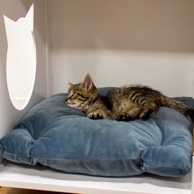 Image showing  Cat Litter Box Enclosure