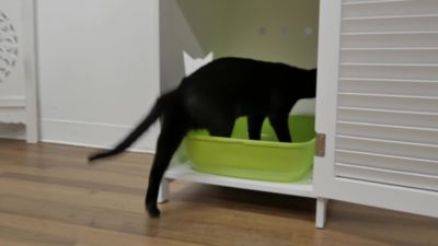 Image showing  Cat Litter Box Enclosure