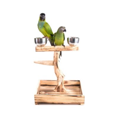 Image showing  Bird Tree Perch with Stainless Steel Cups, 11.75 in. x 10.5 in. x 8.87 in.