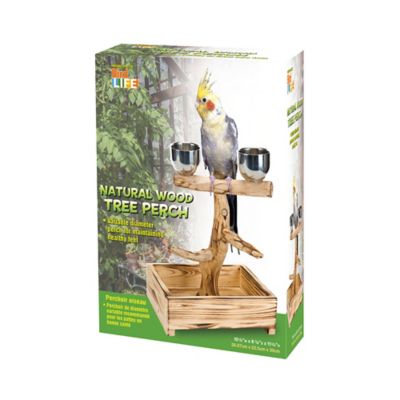 Image showing  Bird Tree Perch with Stainless Steel Cups, 11.75 in. x 10.5 in. x 8.87 in.