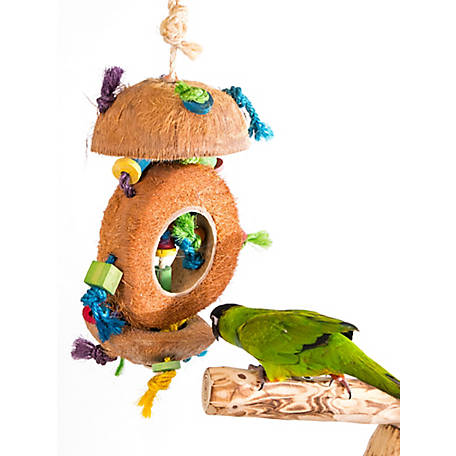 MEDIUM PET BIRD TROPICAL TEASERS COCONUT WOOD TOY FUN ACTIVITY FOR CAGE SMALL 