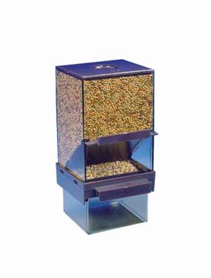 Bird feeder outlet catch tray