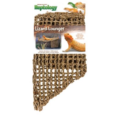 Reptile Habitat Accessories