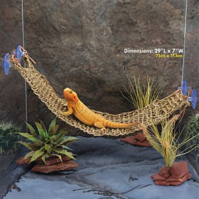 Image showing  Corner Lizard Lounger, 29 in. x 7 in.