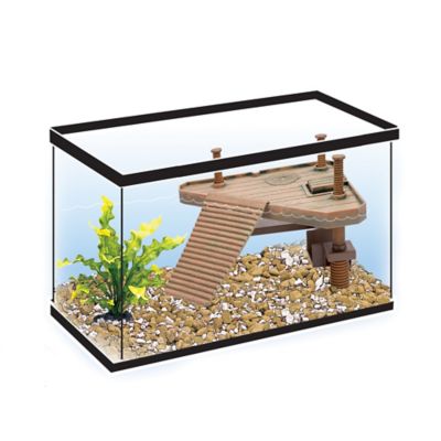 Image showing  Small Turtle Pier Floating Basking Platform