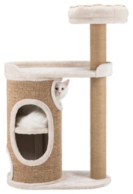 Image showing  46 in. 2-Story Falco Cat Condo Scratching Post