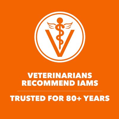 Image showing  Proactive Health Adult Original with Chicken Dry Cat Food