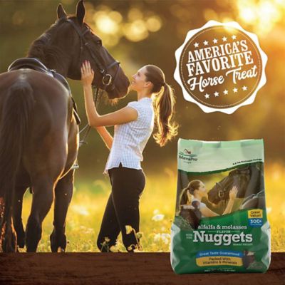 Image showing  Alfalfa and Molasses Nugget Horse Treats, 4 lb.