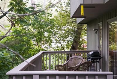 Image showing  Fly Traps, 4-Pack