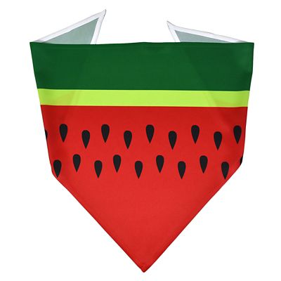 Yellow Dog Design Watermelon Dog Bandana