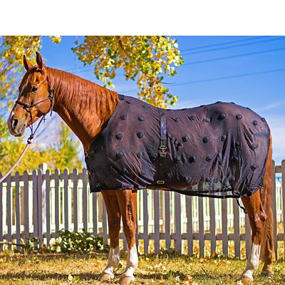 Image showing  Rejuvenate SmartScrim Horse Therapy Blanket