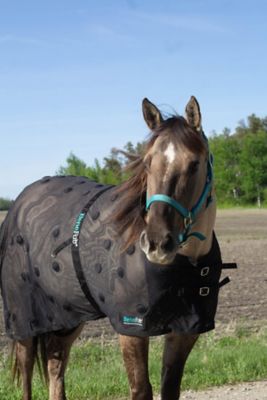 Image showing  Rejuvenate SmartScrim Horse Therapy Blanket
