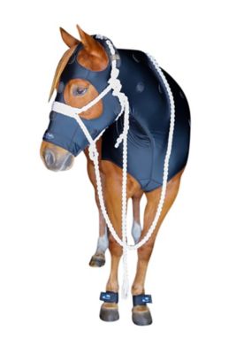 Benefab Rejuvenate SmartHood Acupuncture Horse Hood