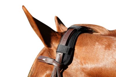 Image showing  Therapeutic Poll Pad for Horses, Purple, 3 oz.