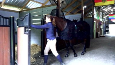 Image showing  Therapeutic Poll Pad for Horses, Purple, 3 oz.