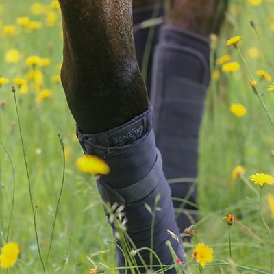 Image showing  Antimicrobial Therapeutic Horse Leg VersiWraps