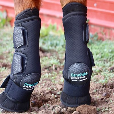 Image showing  Therapeutic Smart Horse Leg QuickWraps