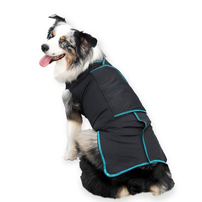Image showing  Canine Comfort and Care Dog Shirt