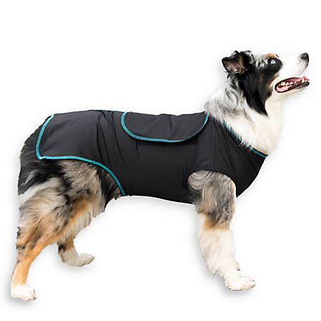 for Thunder and Anxiety Extra Large 34-38 Chest Comfort Zone Calming Vests for Dogs