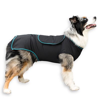 image of a Dog Anxiety Vests & Wraps