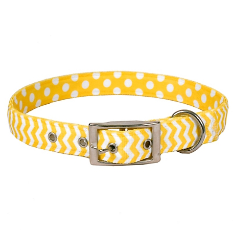 Yellow Dog Design Chevron Uptown Dog Collar