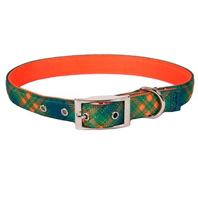 prong collar tractor supply