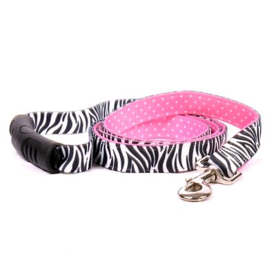 ez lead dog leash