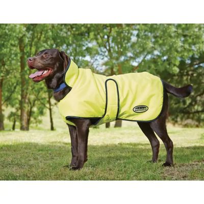 WeatherBeeta Windbreaker 420D Dog Coat
