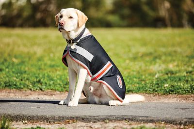 Image showing  ComFiTec 1200D Therapy-Tec Dog Coat