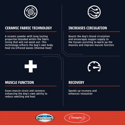 Image showing  ComFiTec 1200D Therapy-Tec Dog Coat