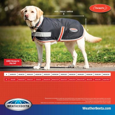 Image showing  ComFiTec 1200D Therapy-Tec Dog Coat