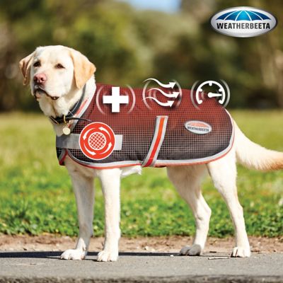 Image showing  ComFiTec 1200D Therapy-Tec Dog Coat