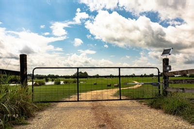 Image showing  Single Swing Medium-Duty Rancher Solar Panel Gate Opener Kit for Gates Up to 16 ft. L or 550 lb.