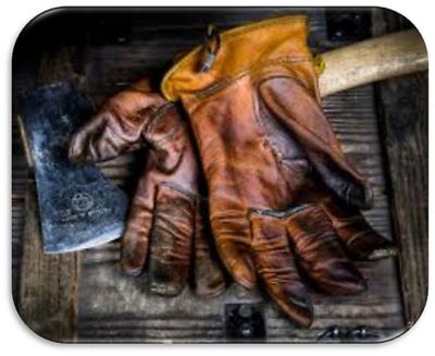 Image showing  Deer Valley Gloves, 1 Pair