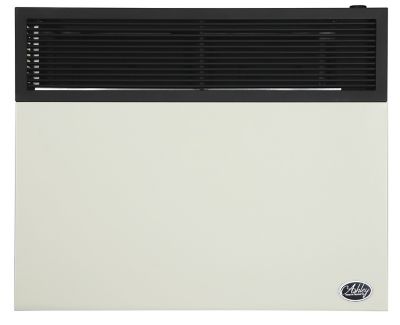 Ashley 25,000 BTU Direct Vent Wall Propane Heater