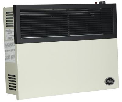 Ashley 17,000 BTU Direct Vent Natural Gas Heater