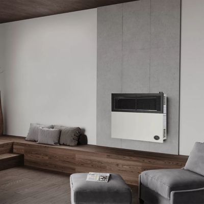 Image showing 8 th Ashley 27.36 in. Natural Gas Direct-Vent Heater, 570 sq. ft., 17,000 BTU