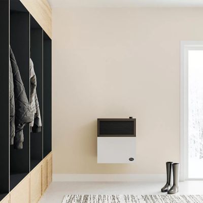 Image showing 8 th Ashley 17.25 in. Propane Gas Direct-Vent Heater, 375 sq. ft., 11,000 BTU