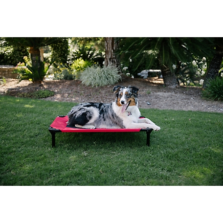 Lucky Dog Comfort Elevated Pet Cot Bed