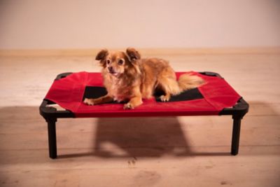 Image showing  Comfort Elevated Cot Pet Bed, Red