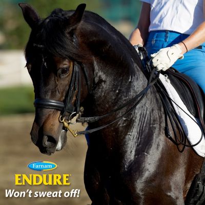 Image showing  Endure Sweat-Resistant Fly Repellent Spray for Horses, 14-day Long Lasting Protection, Continuous Spray, 15 oz.