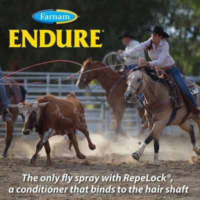 Image showing  Endure Sweat-Resistant Fly Repellent Spray for Horses, 14-day Long Lasting Protection, Continuous Spray, 15 oz.