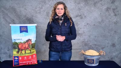 Image showing  Naturals Golden Ground Flax Horse Supplement, 25 lb. Bag