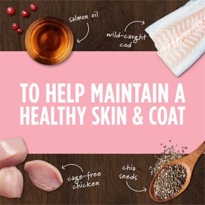 Image showing  Raw Boost Mixers Skin & Coat Health Dog Food Topper, 5.5 oz.