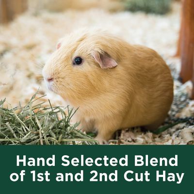 Image showing  Timothy Hay Plus Small Animal Treats, 24 oz.