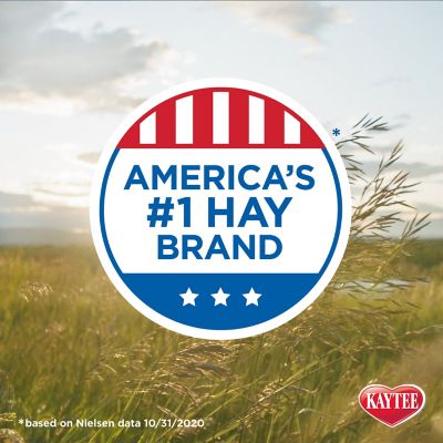 Image showing 5 th Kaytee Timothy Hay Plus Small Animal Treats, 24 oz.