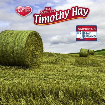 Image showing 7 th Kaytee Timothy Hay Plus Small Animal Treats, 24 oz.