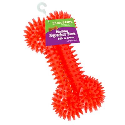 Gnawsome Spikey Bone Dog Toy